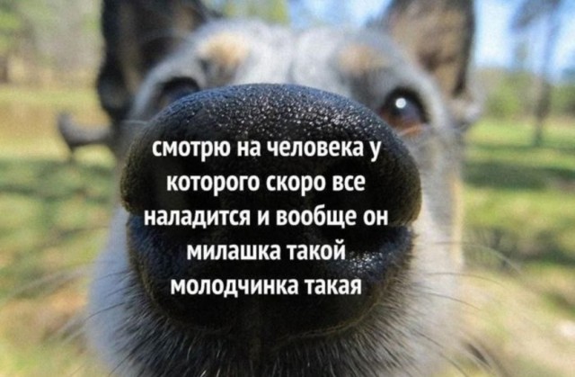 Веселые картинки в понедельник (02.06)