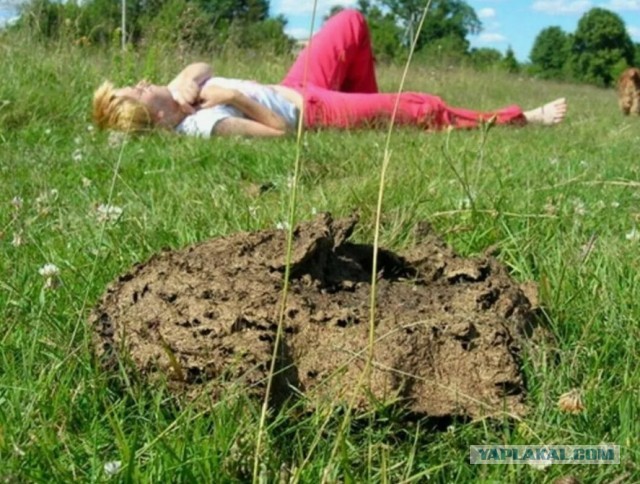 Суд оштрафовал участника чата СНТ за коверкание фамилии