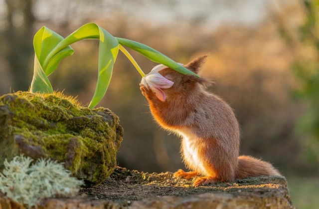 Заряд позитива: взгляните на 25 самых забавных снимков