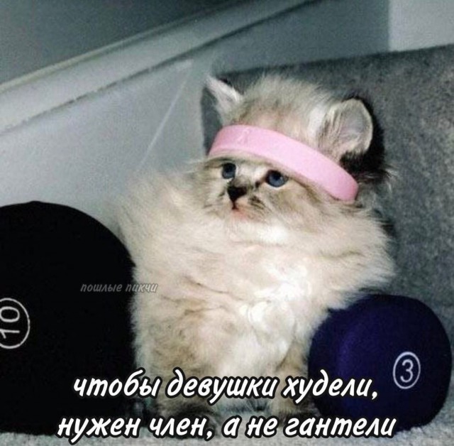 Забавные и не очень скромные картинки - 8