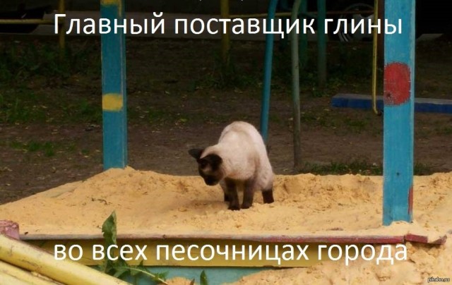 Эти ненормальные люди с собаками