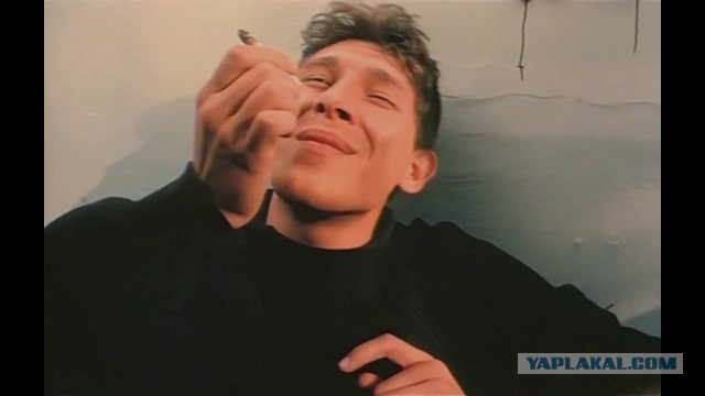 Семья Чебурашки