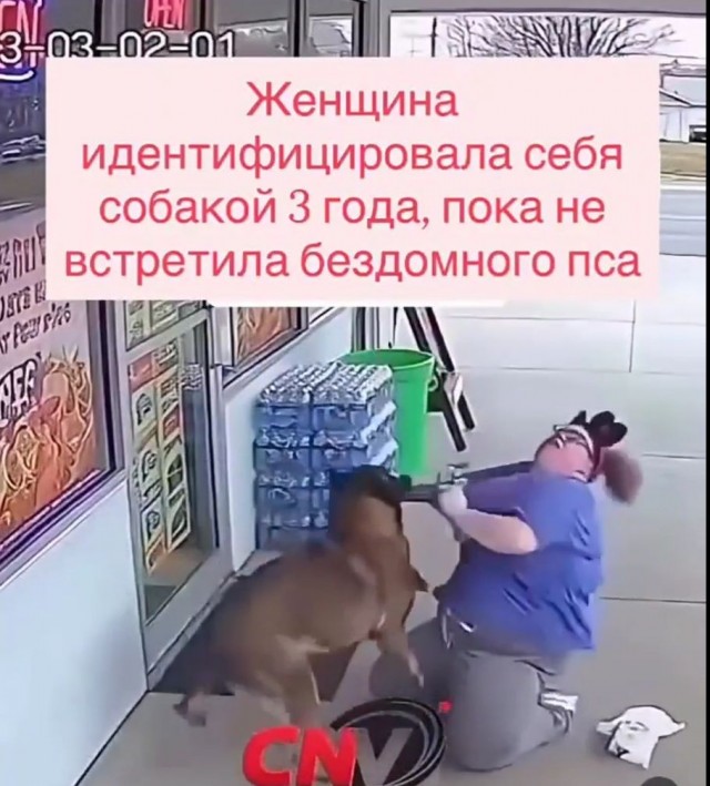 Почему собачники злее собак?