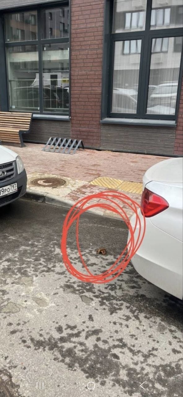 Отложила