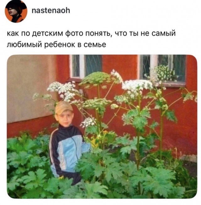 Пятничные бояны