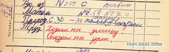 Школьный дневник