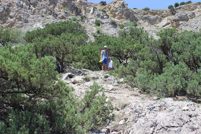 Отчёт о поездке в Крым 12.07 - 29.07