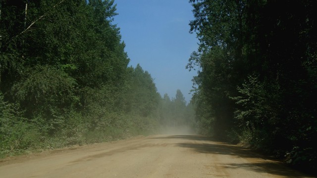 Черника 20.07.11