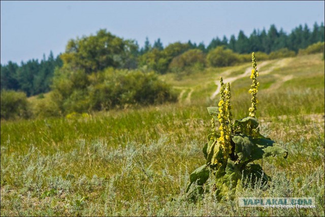 Фотографии, в которых очень сложно узнать Россию