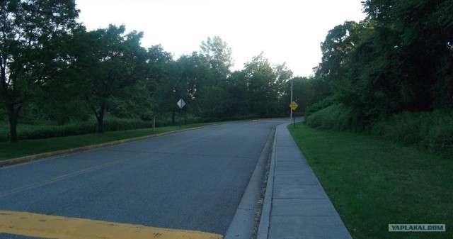 История одного чистого леса под Харьковом