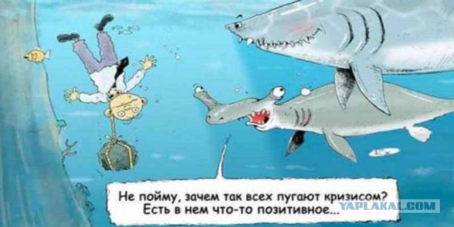 Австралиец забил насмерть акулу оторванной ногой