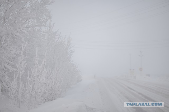 Сургут в -50 в картинках.