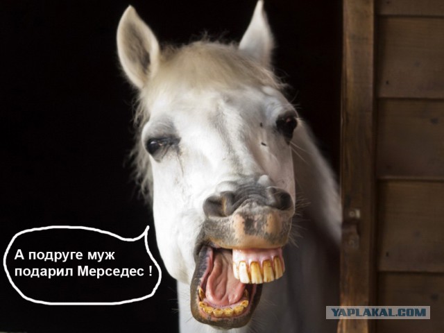 Страна одиноких женщин