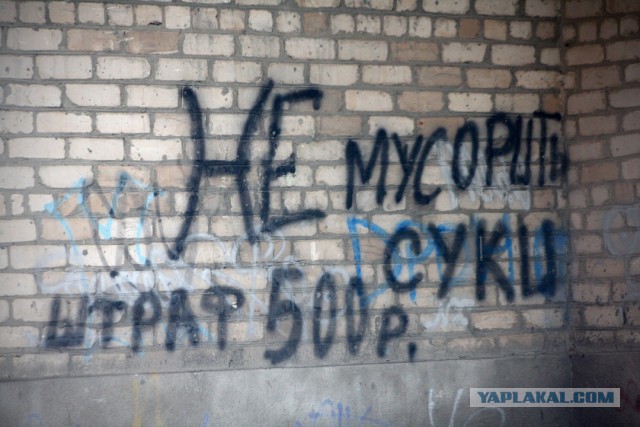 Философские надписи на стенах