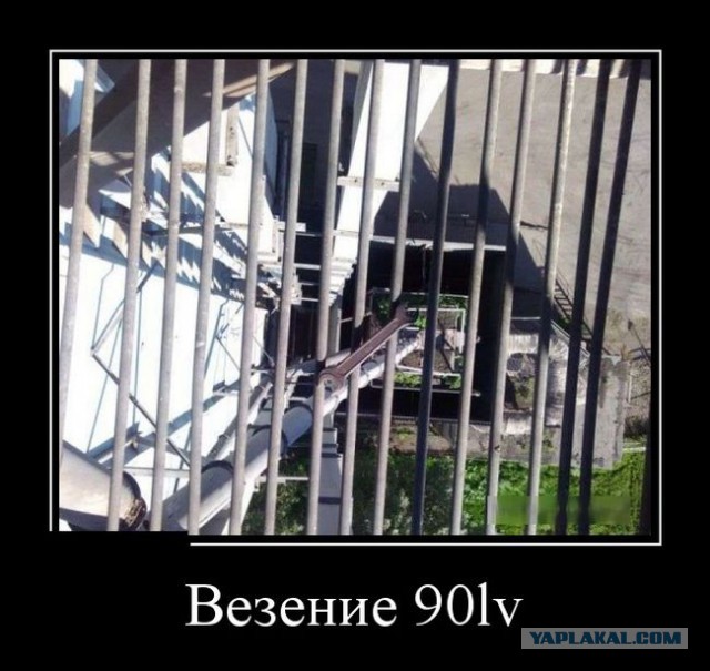 Баяны в чёрных рамках