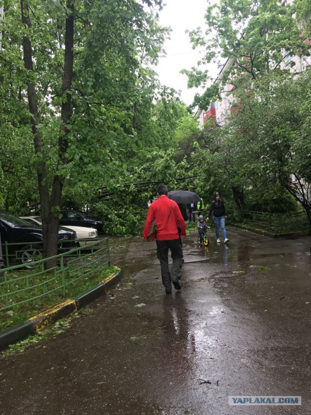 В Москве ураган!