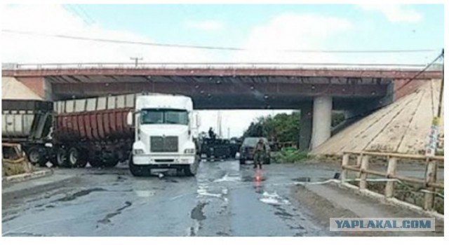 Военные против картеля
