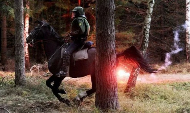 Снимки, сделанные в нужный момент