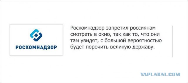 Роскомнадзор заблокировал IP-адрес ЯПлакалъ
