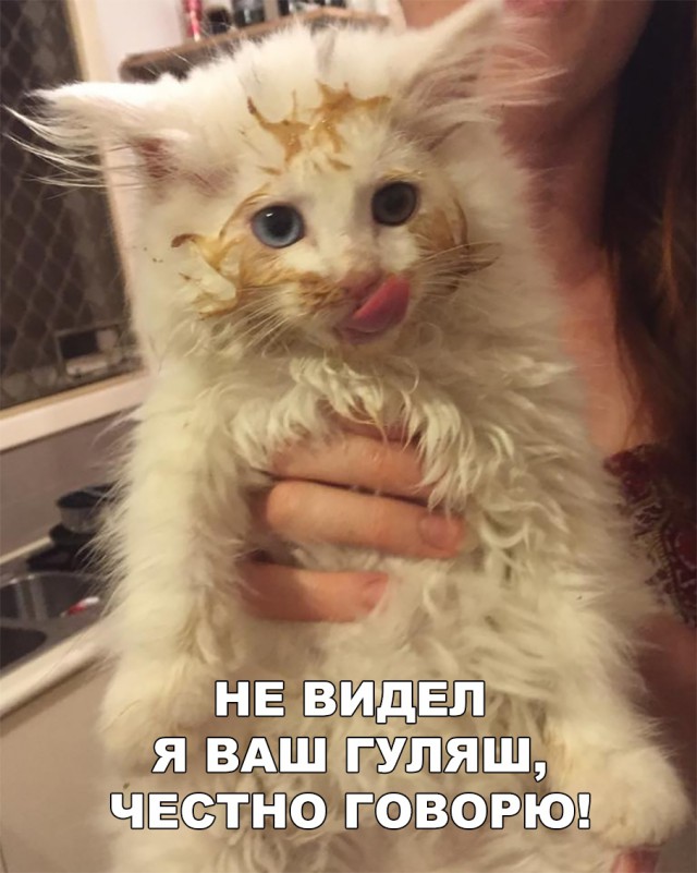Немного милоты