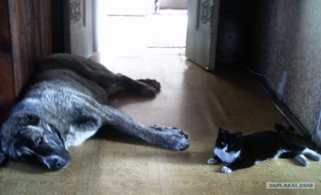 КОТовторник 13.04.2010г.