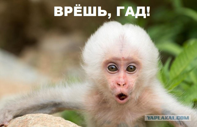 Руанда, Руанда, Руанда моя…