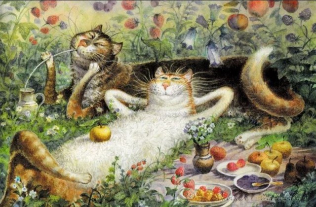 Кот коту рознь