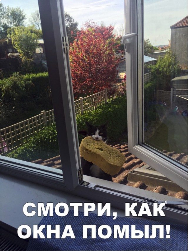 Нестандартный юмор