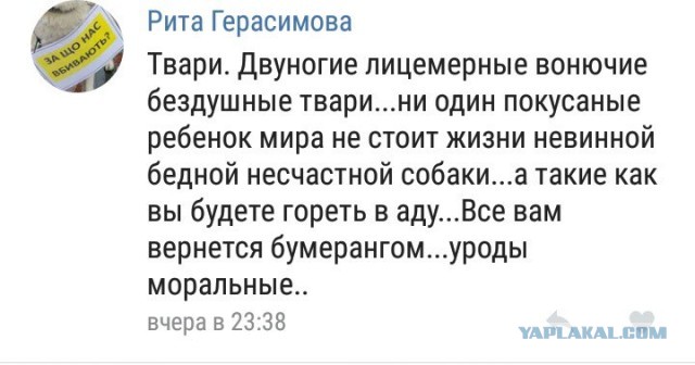Почему люди не любят зоо(защитников)шизу?