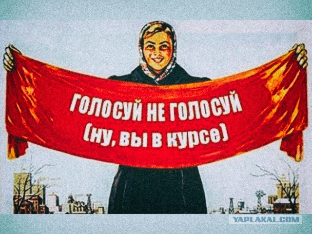 «Из-за бессмысленности процедуры голосования»: в Курганской области врачи диспансера решили отказаться от избирательных прав