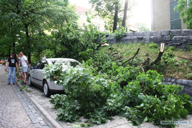 Ураган во Львове.