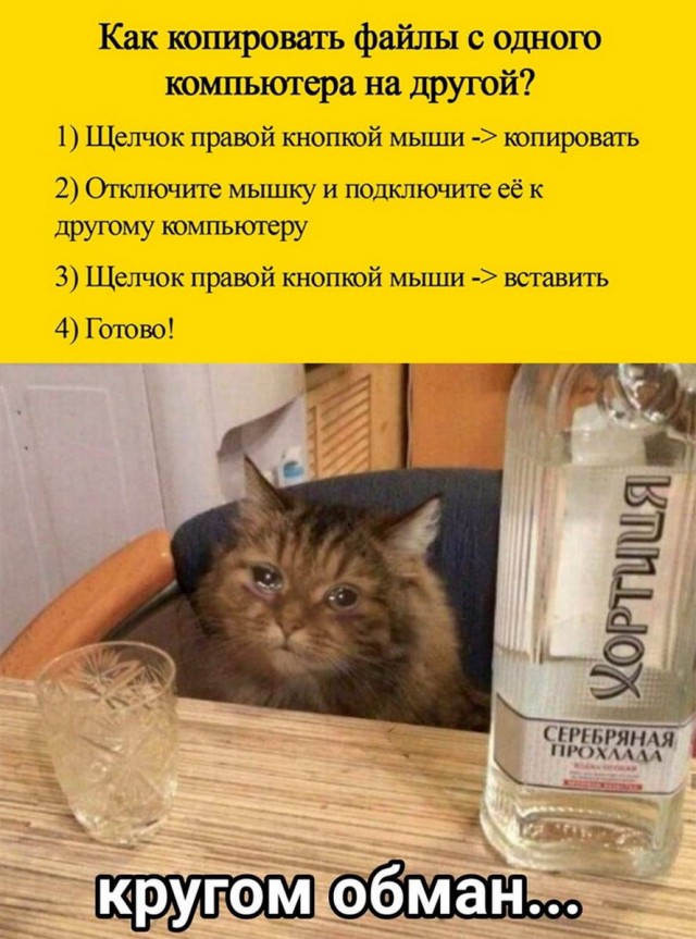 Бредзона 20.05.2020