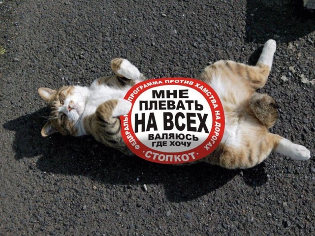 Глазки отдохните: подборка живности всякой
