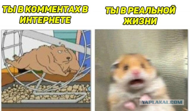 Терпение народа заканчивается.