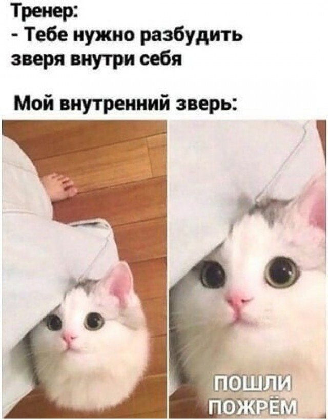 Картинки с надписями и всякие жизненные фразы 12.1.21