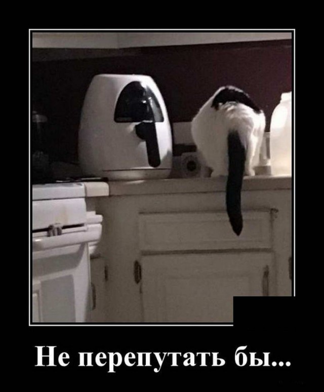Баяны в чёрных рамках