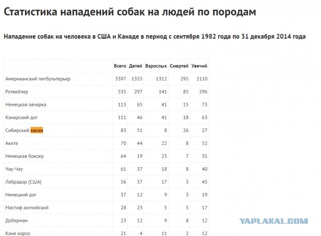 Охранник из Белгородской области выстрелил хаски в голову.