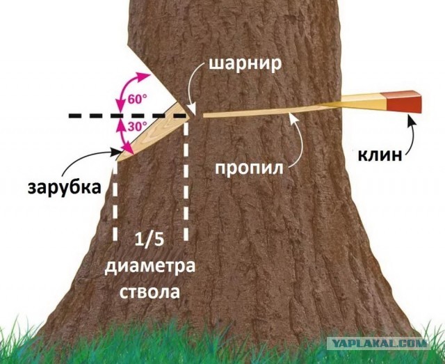 Ювелирная работа!