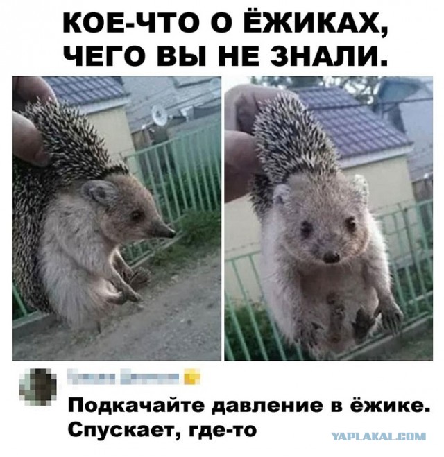 Картинки с надписями и всякие жизненные фразы