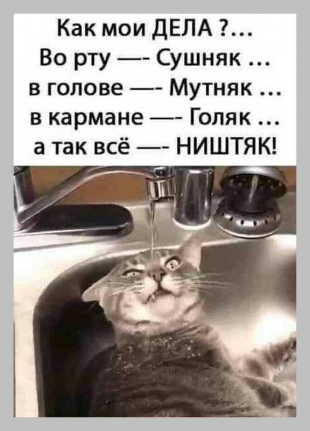 Пьятничные картинки 04.06.2021