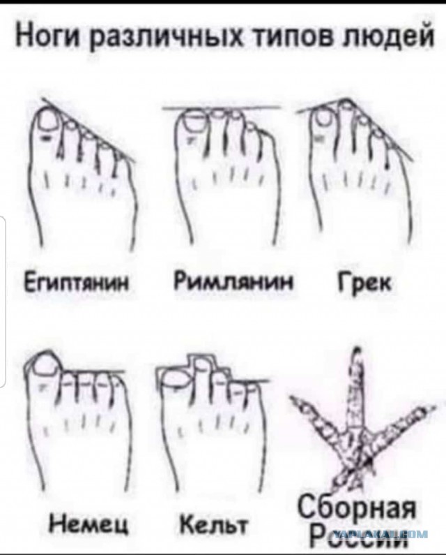 Анекдот дня. Наверное.