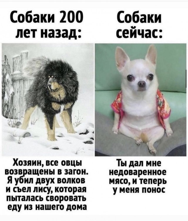 Картинки и мемы, всем прекрасных выходных