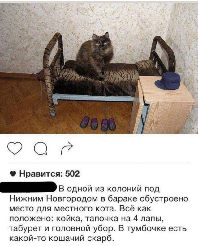 Картинки и мемы, всем прекрасных выходных