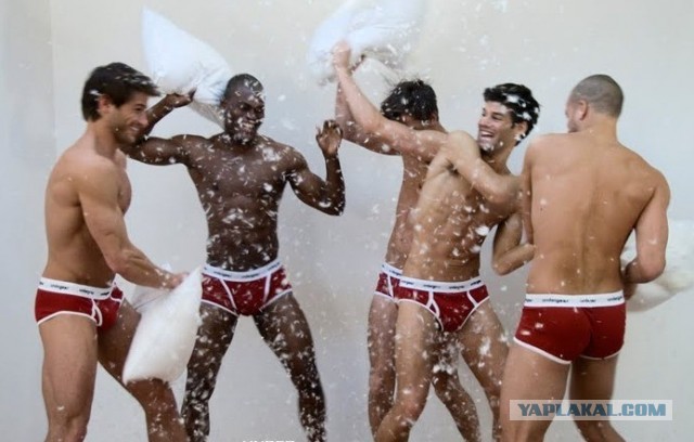 Иосиф Пригожин вызвал на бой Сергея Шнурова