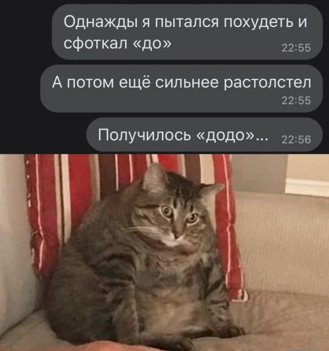 Юмор и прикольные картинки 18.10.2021