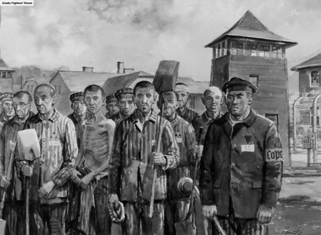 В рязанском ТРЦ «Премьер» «заломали» молодого человека, не предъявившего QR-код
