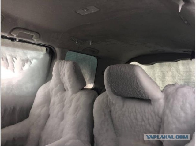 А вот и те самые японские автомобили, которые вчера привезли в порт Владивостока на обледеневшем судне
