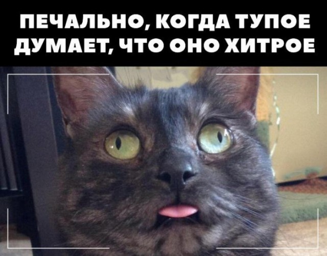 Спонсором этой темы стали производители тормозной жидкости