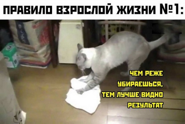 Картинки и мемы для настроения - 22