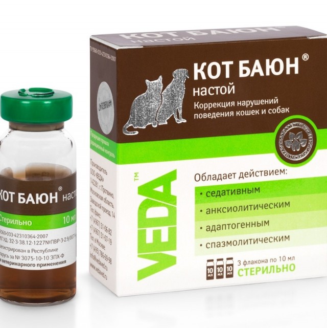 Помогите советом про котика